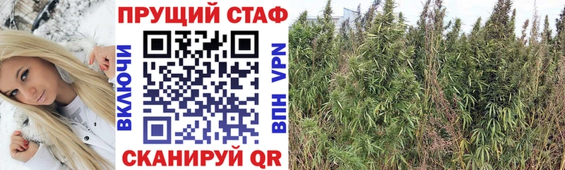 Магазин наркотиков Елабуга А ПВП  Кокаин  Гашиш  Бутират  Каннабис 