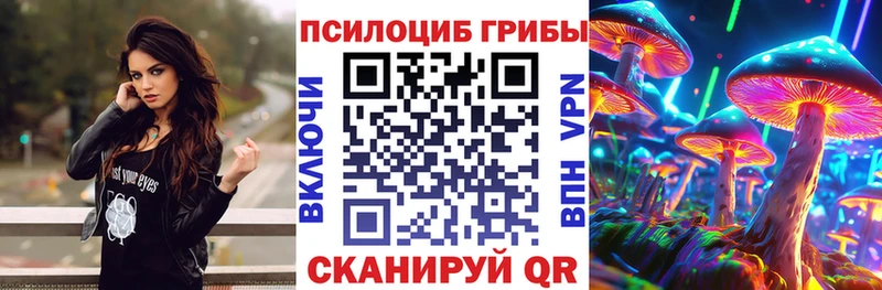 Галлюциногенные грибы Magic Shrooms  blacksprut зеркало  Елабуга 